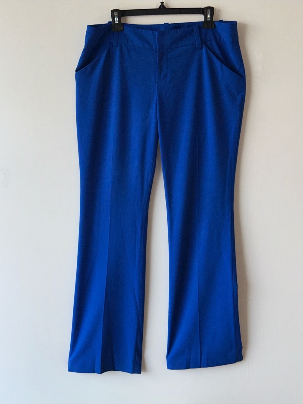 Gianni Bini Cobalt Blue trouser Pants
